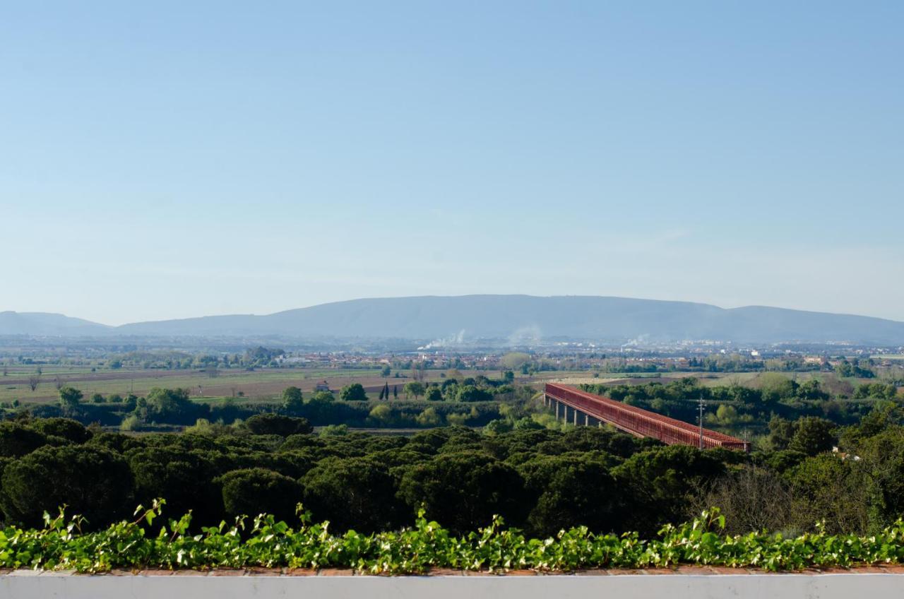Convento Inn And Artists Residency Chamusca  Dış mekan fotoğraf
