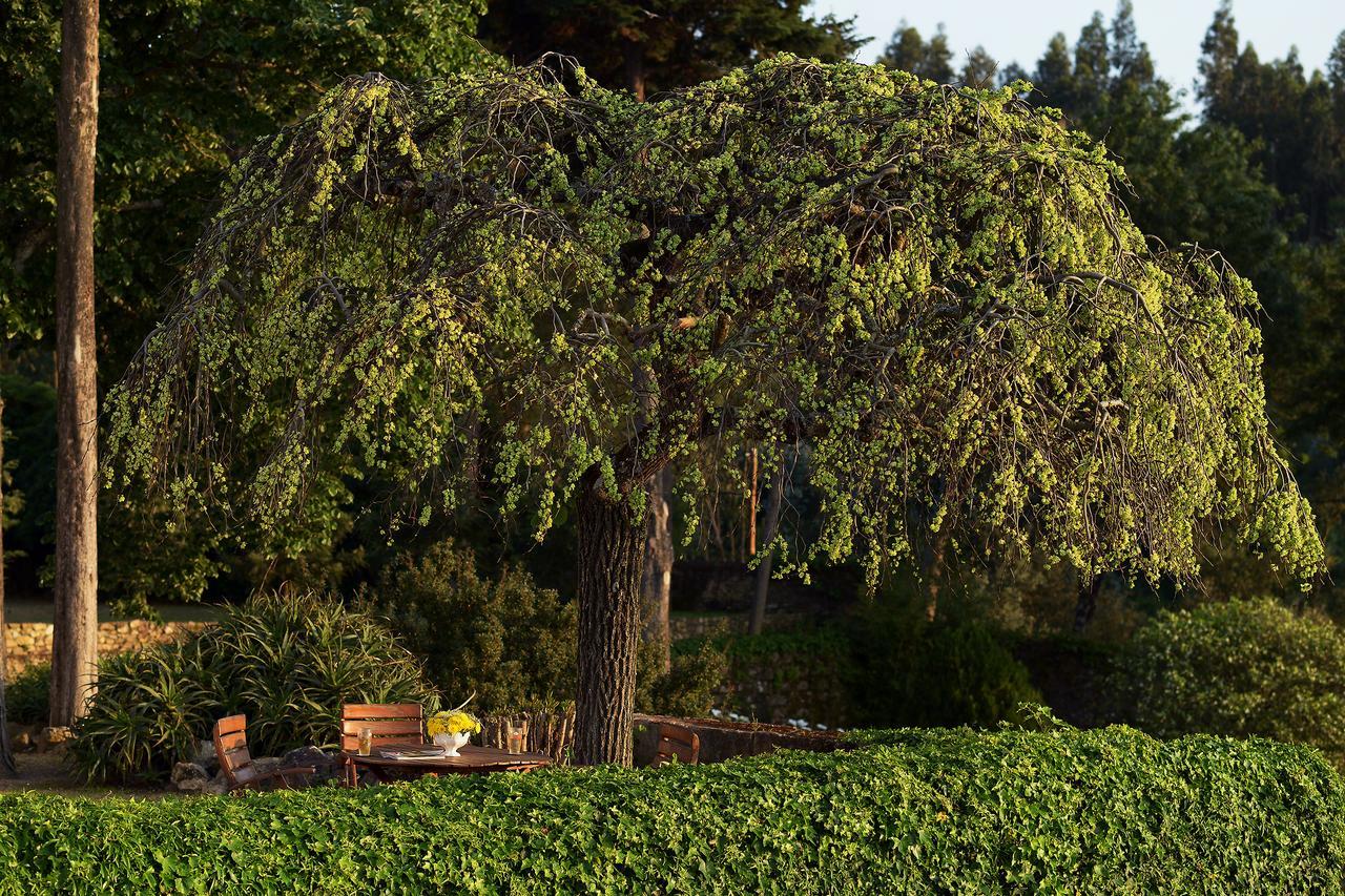 Convento Inn And Artists Residency Chamusca  Dış mekan fotoğraf
