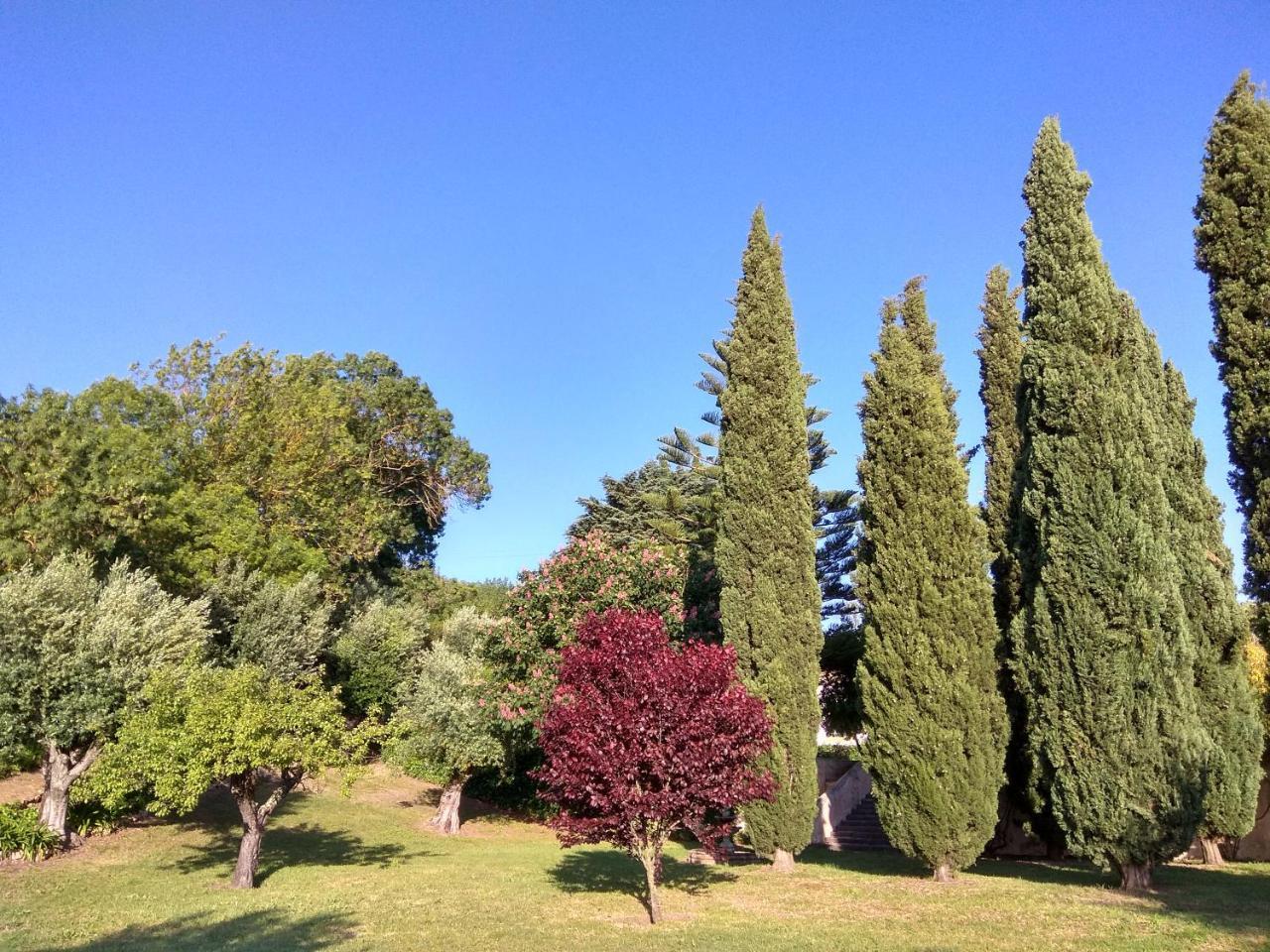 Convento Inn And Artists Residency Chamusca  Dış mekan fotoğraf