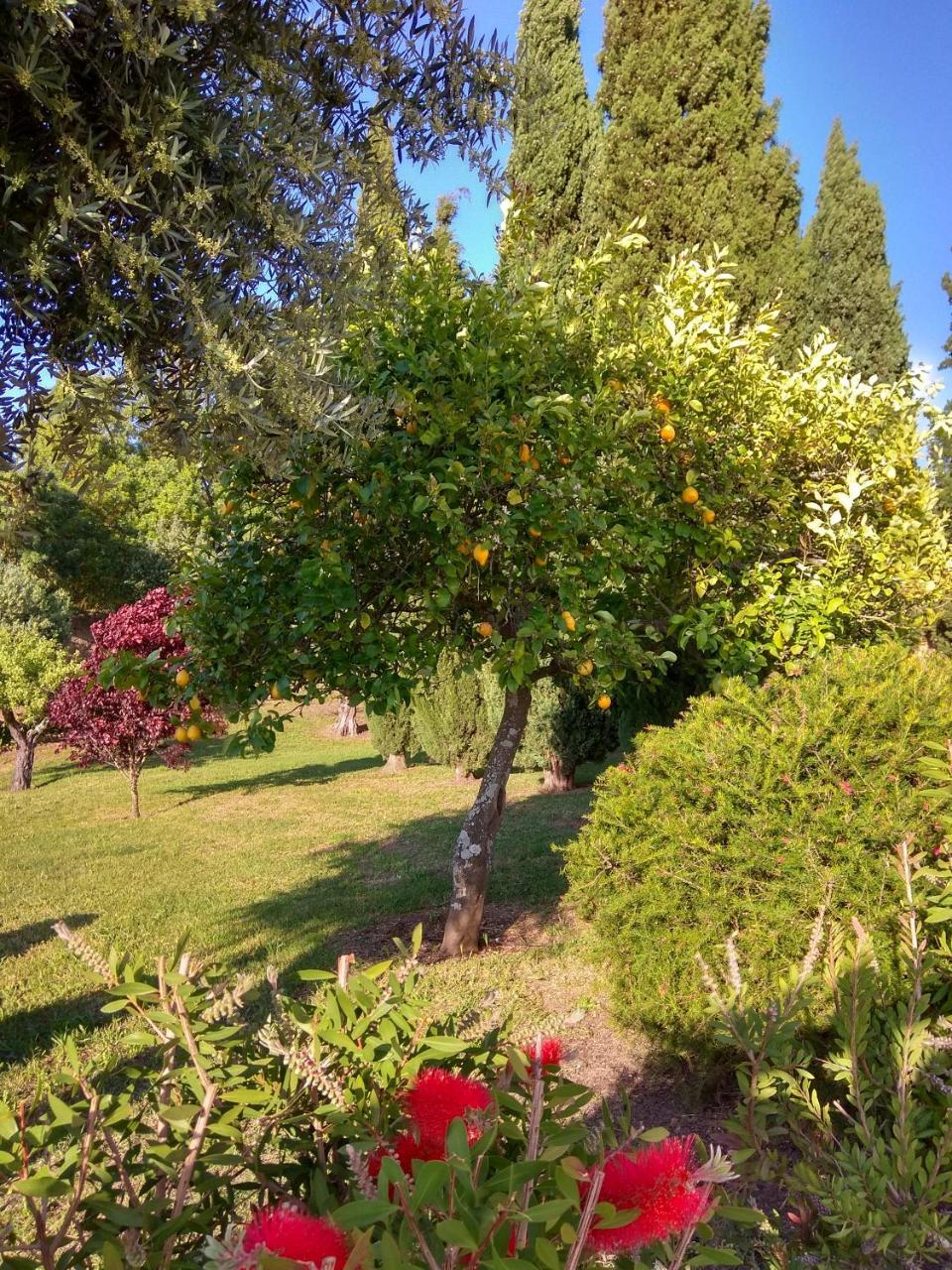 Convento Inn And Artists Residency Chamusca  Dış mekan fotoğraf